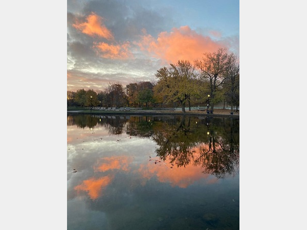 Am Wegesrand im Wald 