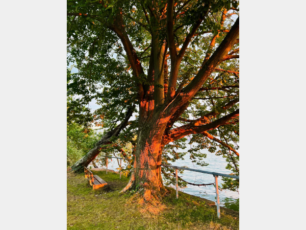 Impressionen am Wegesrand